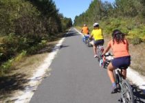 LA VELODYSSEE Y BAHIA DE ARCACHON LA VELODYSSEE Y BAHIA DE ARCACHON
