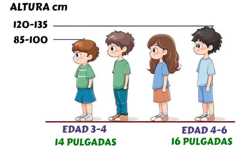 bicicleta 14 pulgadas edad correcta