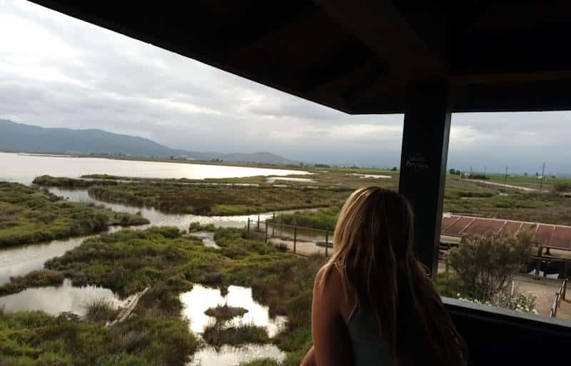 mirador delta del ebro